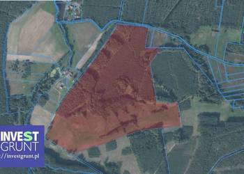 [19,13 ha] grunty rolne przetarg na dzierżawę