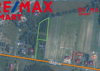 WYJĄTKOWA DZIAŁKA Z WZ 3204 m2 | GRABÓW NAD PILICĄ