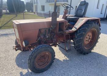 Sprzedam Wladymirec t25