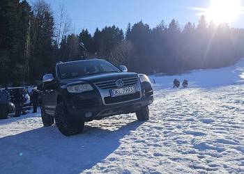 Touareg po spotkaniu z sarną