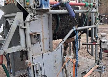 Peofesionalna korekcja racic