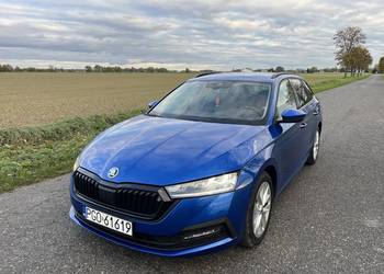 Skoda Octavia Polski Salon