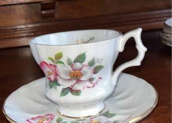 Filiżanka Royal Windsor. England. Alberta Wild Robe. Piękna