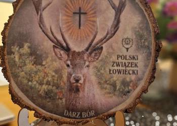 Obrazek na plastrze brzozy