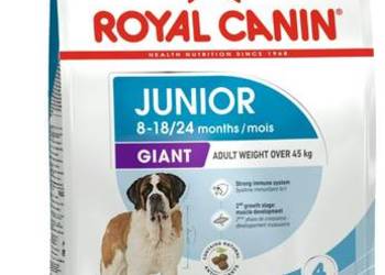 Karma sucha dla psa Royal Canin junior
