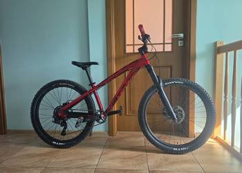 Dartmoor hornet 2021
