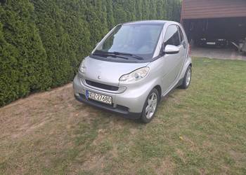 Smart cdi skóra Passion