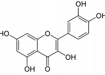 Kwercytyna Czysta Quercetin Flavonoid 50g >99%
