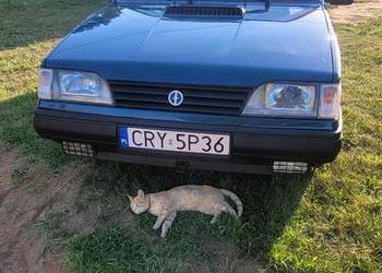 Polonez