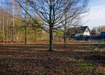 Działka budowlana 1004m2, Grądy k. Żyrardowa