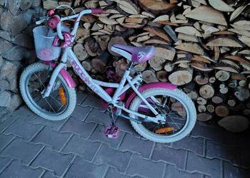 Rowerek dziewczęcy 16 cali