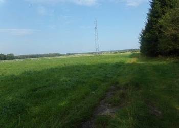 Syndyk sprzeda działkę w m. Wrzesinia wraz z udziałem - 75% wartości