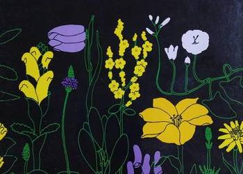 Świat roślin skał i minerałów. Świat roślin skał i minerałów.