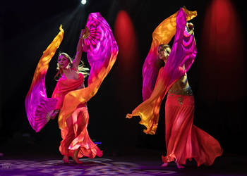 Taniec brzucha pokazy tańca bellydance
