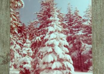 ZIMA W BESKIDZIE ŚLĄSKIM - FOT. MATL