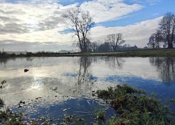Siedlisko o powierzchni 1.6 ha Bałdrzychów, gmina Poddębice