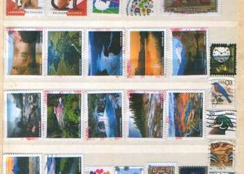 Zn. USA  57 szt kas.  2019 Zn. USA  57 szt kas.  2019