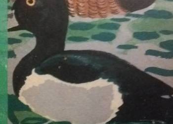 Dwa białe trzeci jak śnieg piękne książki dziecięce prezenty