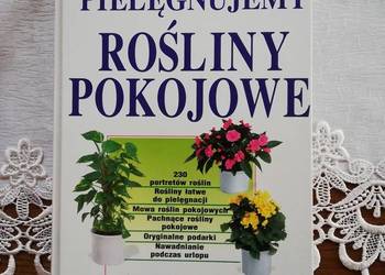 Pielęgnujemy rośliny pokojowe
