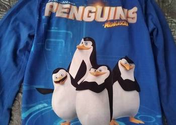 Bluzka chłopięca Pingwiny z Madagaskaru