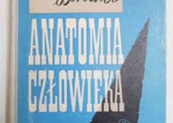 Anatomia człowieka - Stanisław Borowiec