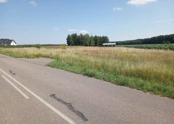 Działka budowlana 2695m2 w Lubowidzu woj. Mazowieckie bez pośredników