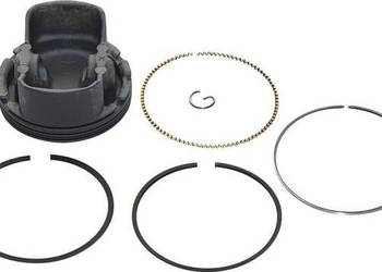 Zespół tłoka 799270