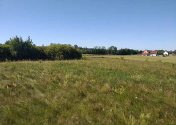 sprzedam działkę z bajorkiem i na działce rurociąg wodny