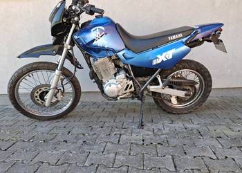 Xt600 zdrowy
