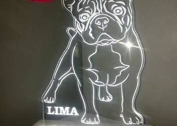 LAMPKA nocna grawerowana projekt EMPLAST wys. 25 cm akryl