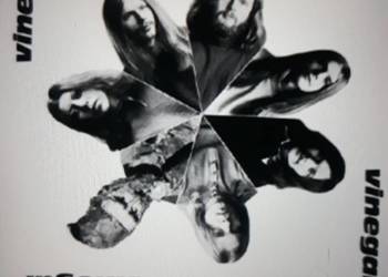 Archiwum prog rocka i Krautrocka VINEGAR- Vinegar. 1971.
