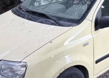 Fiat Panda benzyna