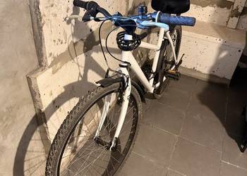 Rower miejsko-trekkingowy