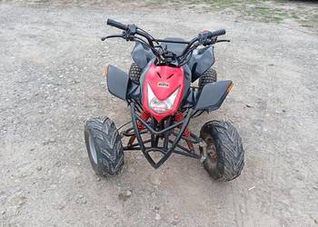 Quad 110 1+1