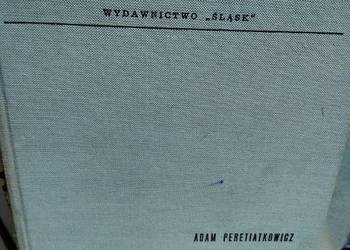 Oświetlenie sieciowe w podziemiach kopalń wydawnictwo śląsk