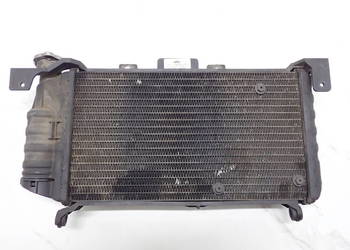 Chłodnica Szczelna + Korek Husqvarna TR Terra 650 13r Strada