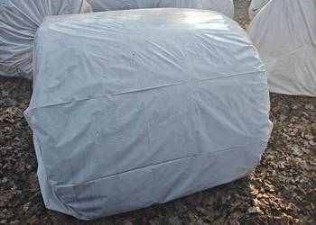 Bele sianokiszonka lucerna i koniczyna baloty 120x120