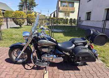 Suzuki C 800 Intruder
