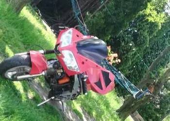 Mini ścigacz 50cm³