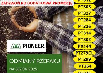 Nasiona rzepaku Pioneer oferty na 2025r PT303 PT302 PT312 PT314 PT326 itp