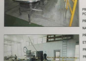 Linia do ważenia i pakowania GREEN-60