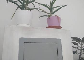 Aloes