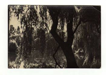 DĄBROWA GÓRNICZA PARK KULTURY I WYPOCZYNKU ZIELONA CZARNO BIAŁA