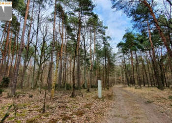 Oferta sprzedaży gruntu 3500m2 Wólka .