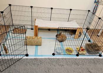 Metalowa klatka kojec dla świnki morskiej i królika