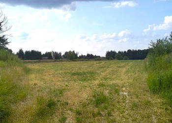 Oferta sprzedaży działki Majdan Krasieniński 1000m2