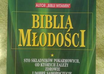 Książka pt. Biblia młodości