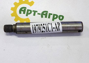 1979251C1 Centralny sworzeń napędowy do przesiewaczy CNH (Agri Parts)