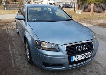 Audi a3 8p 1.6 benzyna 2006