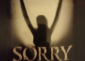 Zoran Drvenkar - Sorry Zoran Drvenkar - Sorry